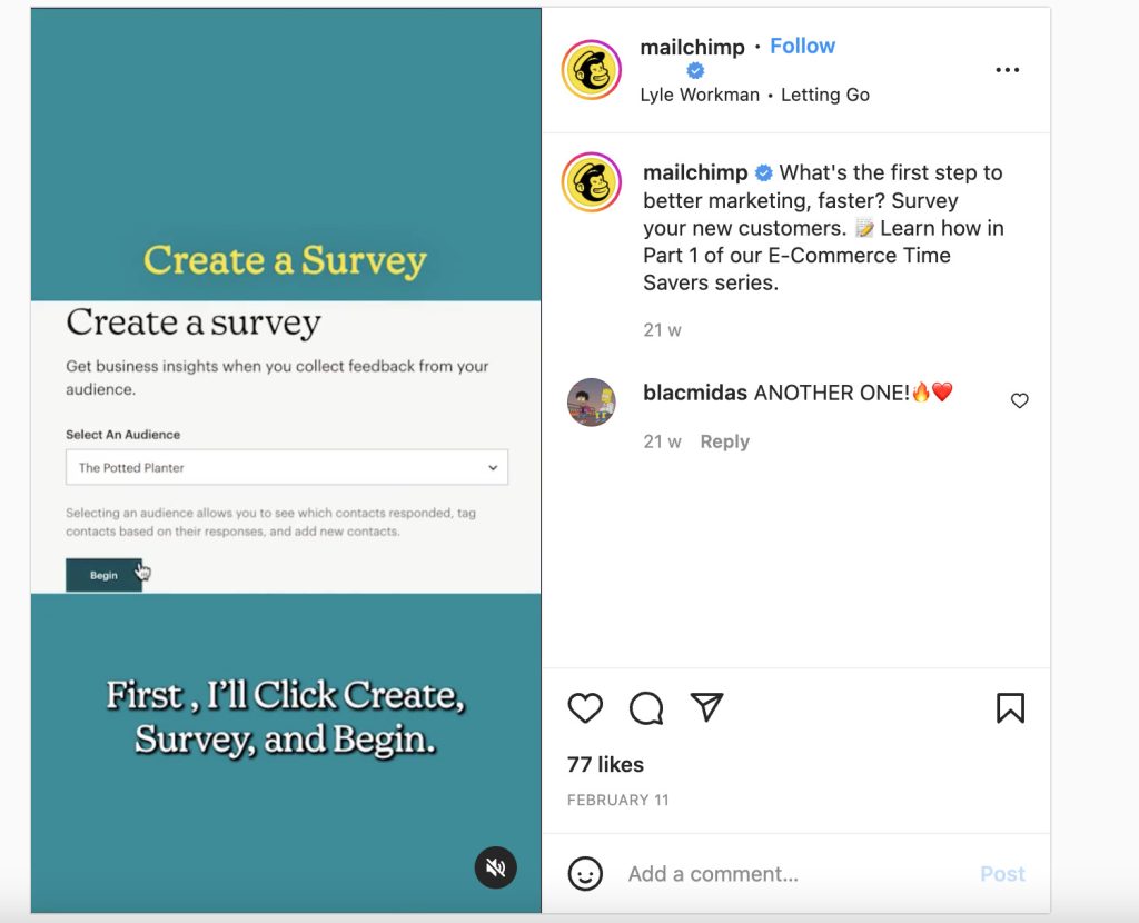 mailchimp-instagram